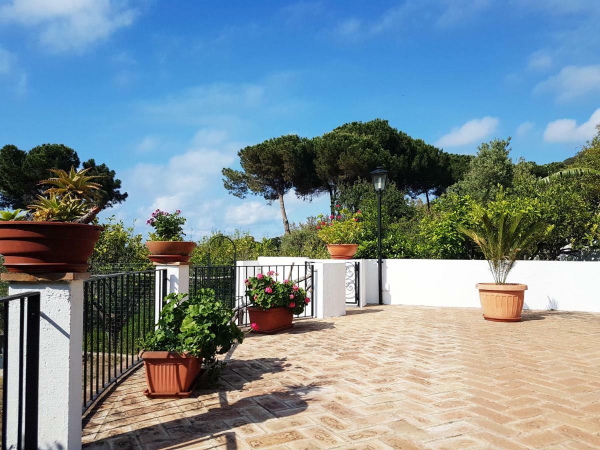 Villa Del Sogno Parghelia Exterior foto